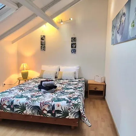 Nature Le Tuquet Rampieux