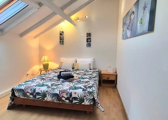 Nature Le Tuquet Rampieux